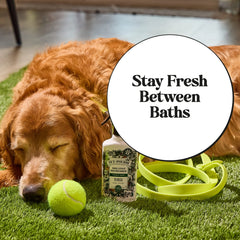 Dog Coat Refresher - Pet~Pourri