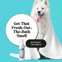 Rinse-Free Deodorizing Shampoo