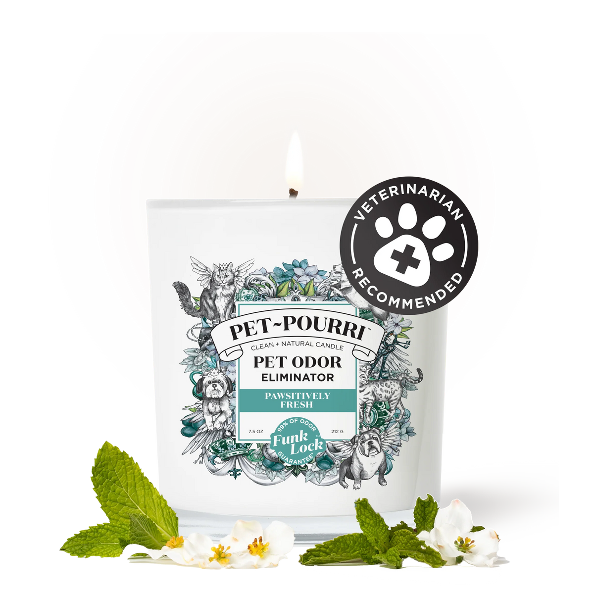 Pawsitively Fresh Candle - Pet~Pourri Candle
