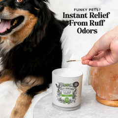 Purrfectly Bamboo Candle - Pet~Pourri Candle