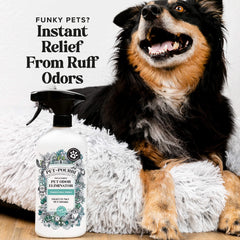 Pawsitively Fresh - Pet~Pourri Room Spray