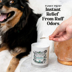 Pawsitively Fresh Candle - Pet~Pourri Candle