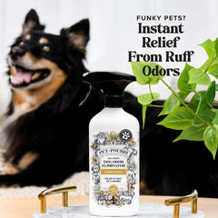 Canine Coconut - Pet~Pourri Room Spray