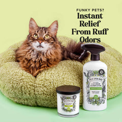 Purrfectly Bamboo - Pet~Pourri Room Spray