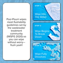 Unscented Flushable Wipes - Poo~Pourri